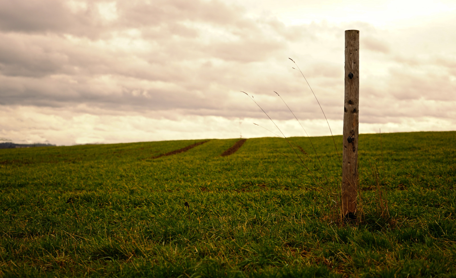 slunečnímu záření, krajina, kopec, Příroda, Červené, tráva, nebe, zima, pole, mraky, dřevo, Země, zelená, žlutý, Studený, ráno, hospodařit, HDR, textura, horizont, atmosféra, čáry, tundra, step, Soustředit se, mrak, strom, zakalený, lučina, široký, rozmazat, dřevěný, pastvina, čára, RedSky, přistát, zemědělství, louka, prostý, krajiny, energie, vysočina, prérie, oříznutí, venkov, ekosystém, tráva rodina, meteorologický jev, pozemek pozemek, ekoregion, kůl