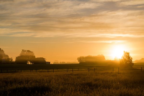 sunlight,landscape,sunset,grass,sky,field