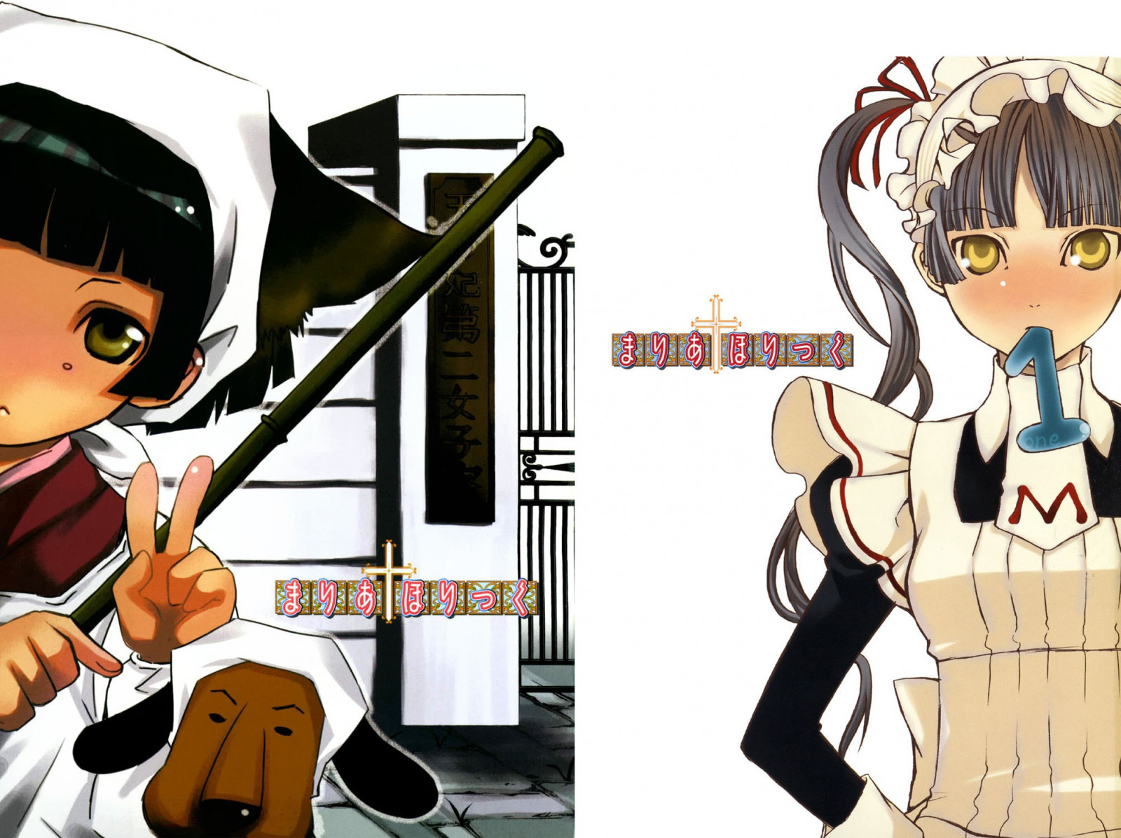 ilustrace, anime, anime dívky, kreslená pohádka, komiks, Osoba, Maria Holic, Shin ji Matsurika, Ry ch sensei, mangaka