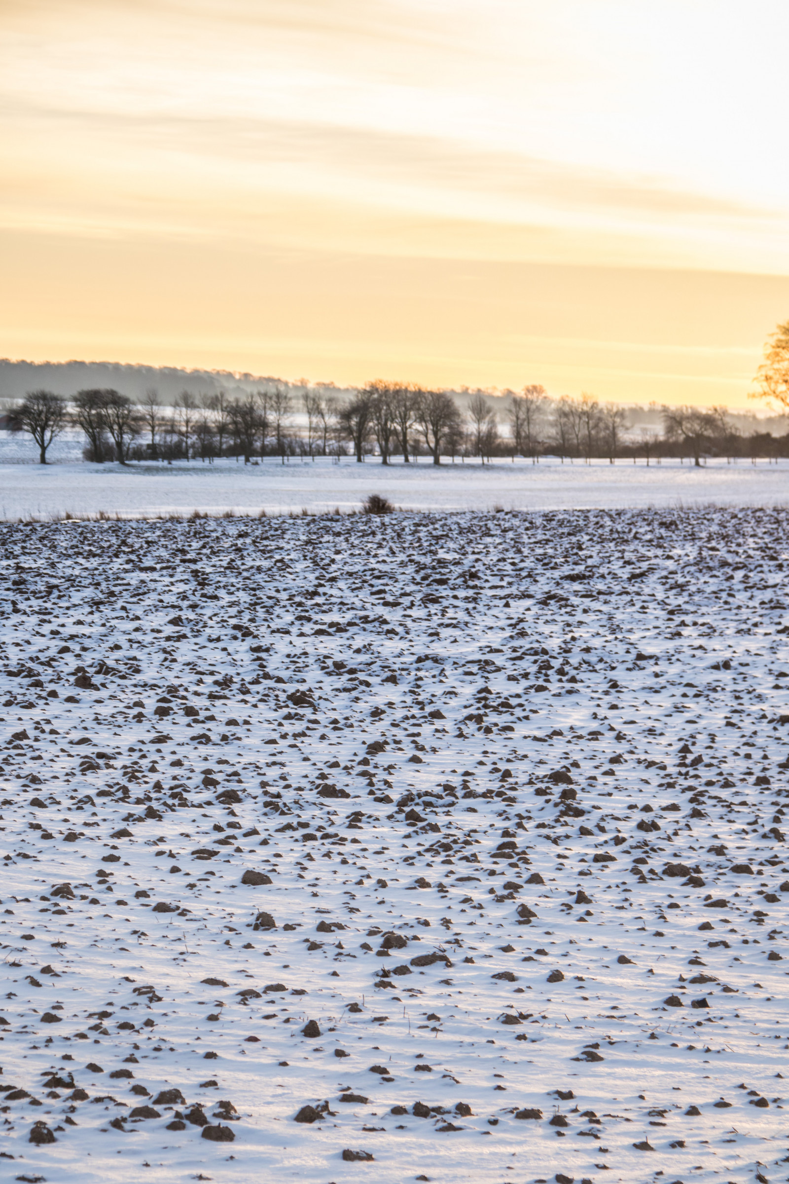 slunečnímu záření, krajina, západ slunce, moře, jezero, voda, pobřeží, písek, odraz, sníh, zima, pláž, svítání, led, ráno, pobřeží, horizont, scenérie, počasí, sezóna, oceán, vlna, sn, Vinter, venkov, landsbygd, soluppg ng, s dersl tt, landskap, morgon, mělčina při ústí řeky