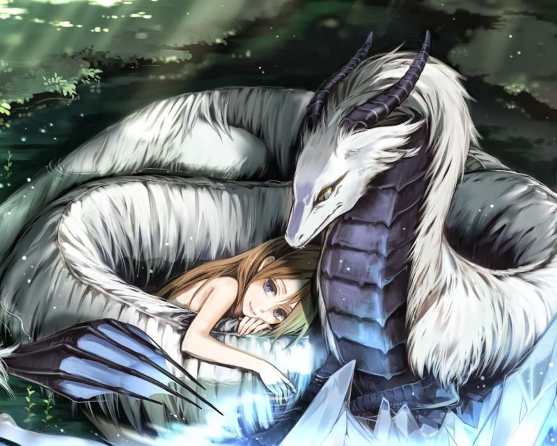 anime, ala, 1280x1024 px, Fantasy art, Drago, uccello