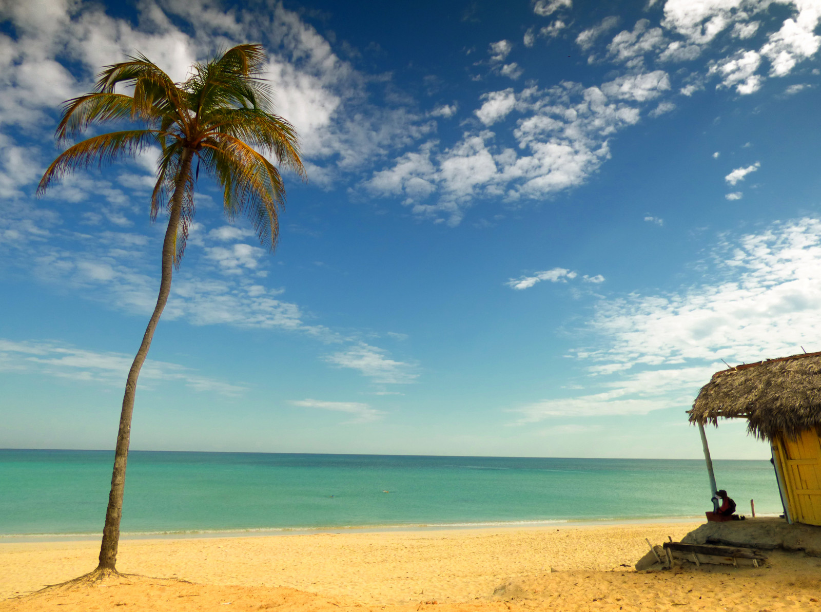 hav, kyst, sand, himmel, strand, Turisme, kyst, horisont, tropisk, hytte, ferie, Caribien, ferie, Havana, Cuba, Sky, træ, ocean, Palme træ, troperne, rolig, paradis, national geografi, travelphotography, computer tapet, arecales, Santamaria, Palme træ, cabana, playadeleste, villabacuranao, coastal and oceanic landforms