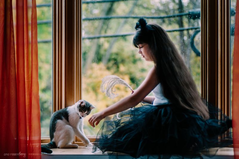 fotografia, mammifero, vertebrato, ragazza, signora, istantanea