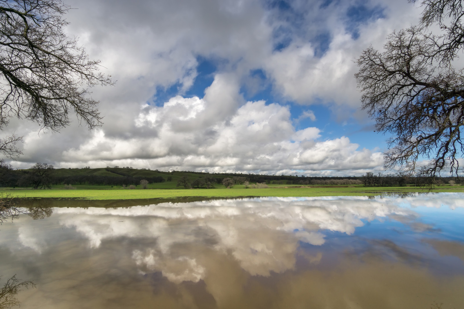 Wallpaper : pond, reflection, clouds, rural, renerodriguezphotography