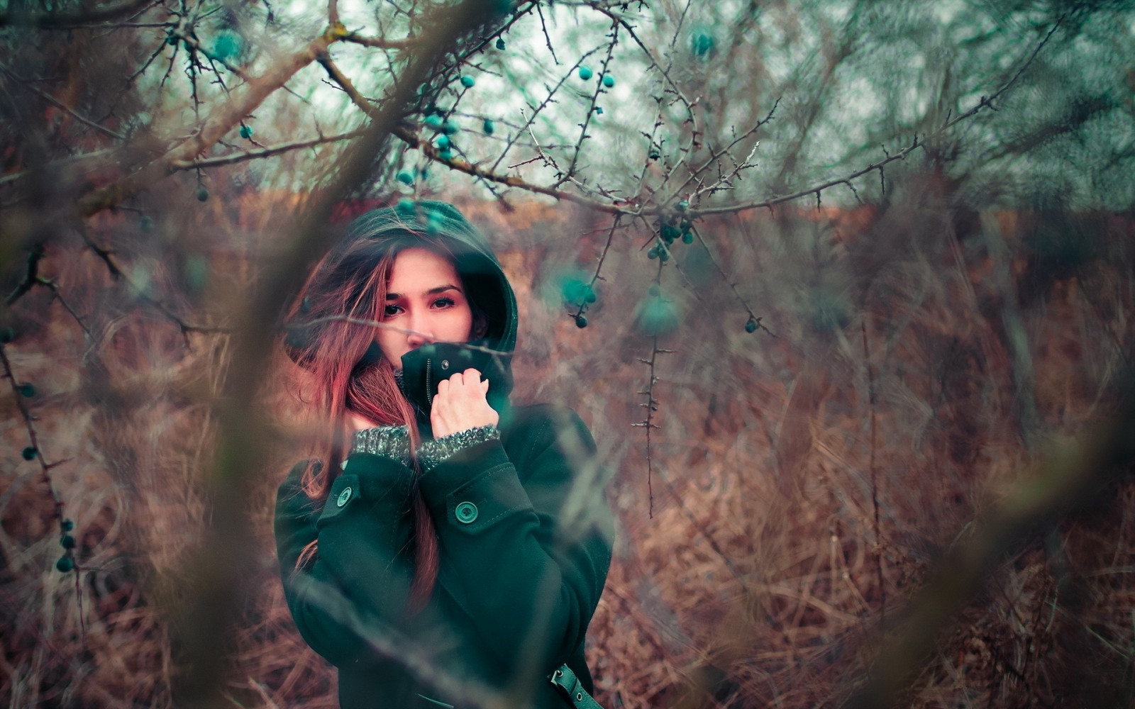 ansigt, sollys, Skov, brunette, vinter, fotografering, grøn, forår, farve, træ, efterår, blomst, pige, sæson, mørke, computer tapet, Photo shoot