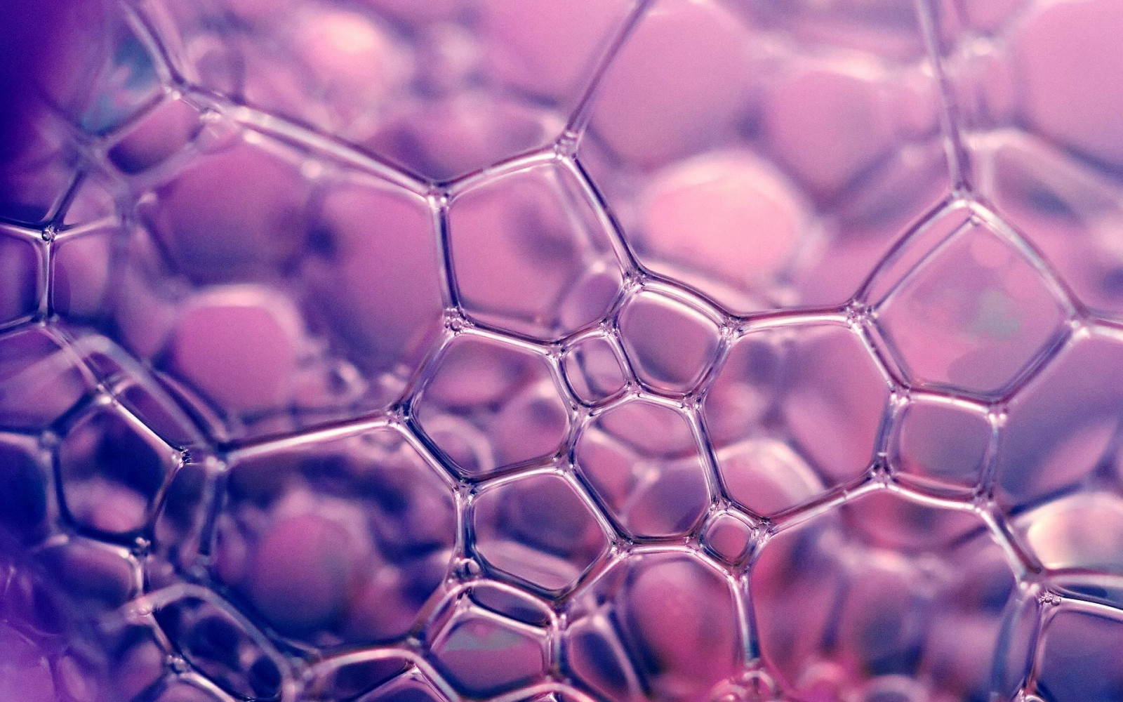 abstraktní, fotografování, koule, makro, sklenka, vzor, Bubliny, kruh, mýdlo, barva, tvar, design, čára, 1920x1200 px, počítač tapeta, zblízka, makro fotografie, kapalina bublina