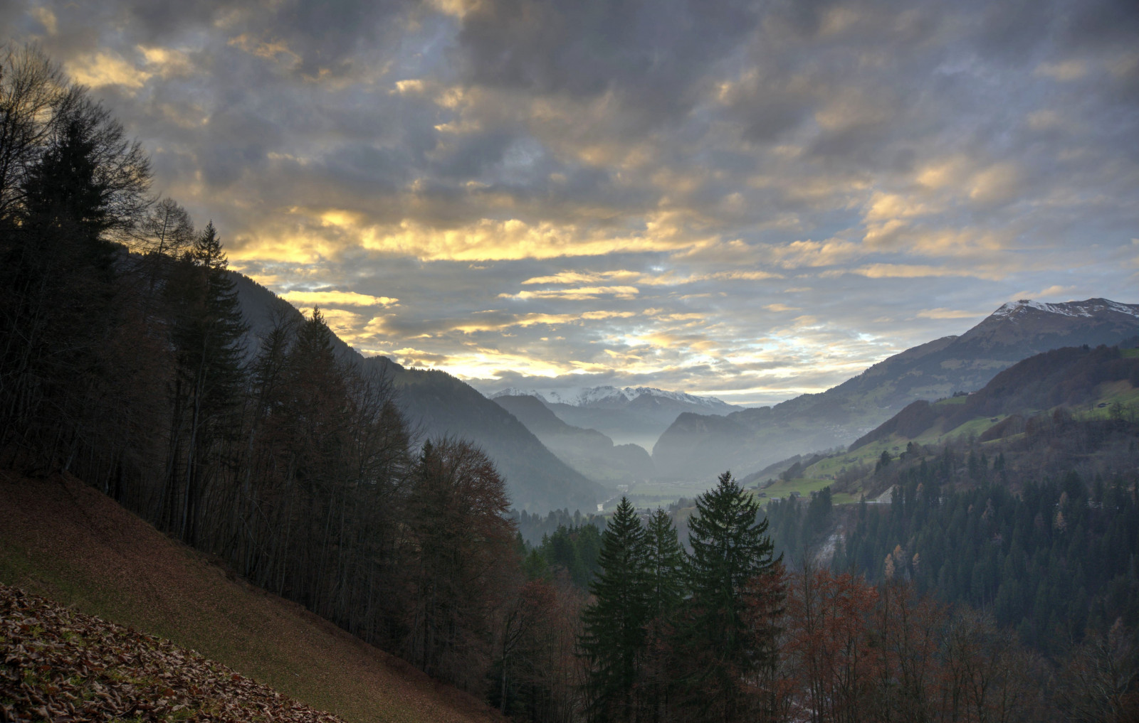 sky, mountainous landforms, nature, mountain, cloud, mountain range, wilderness, highland, woody plant, tree, morning, valley, dawn, Alps, national park, ridge, atmosphere, hill, mount scenery, phenomenon, sunlight, evening, meteorological phenomenon, Terrain, hill station, forest, landscape, sunrise, winter, horizon, fell, escarpment, mountain pass, mist, grass, meadow, autumn, Massif, computer wallpaper