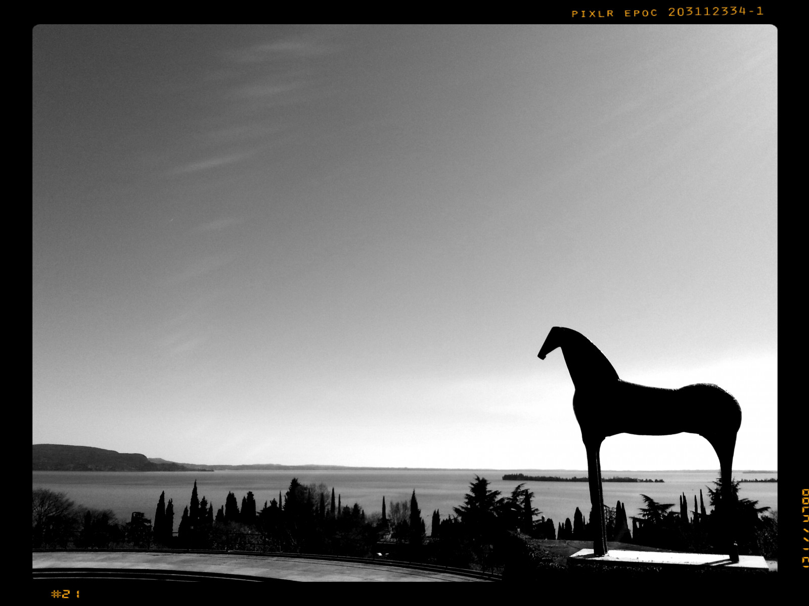 krajina, černobílý, jezero, kůň, nebe, fotografování, silueta, mrak, strom, lago, flickrandroidapp filtr none, gardalake, lagodigarda, Garda, Černý a bílý, monochromatické fotografování, hříva, kůň jako savci, mustang kůň, Pixlr, pixlrexpress, cavallo, Gardone, Vittoriale, Palladino, stock photography