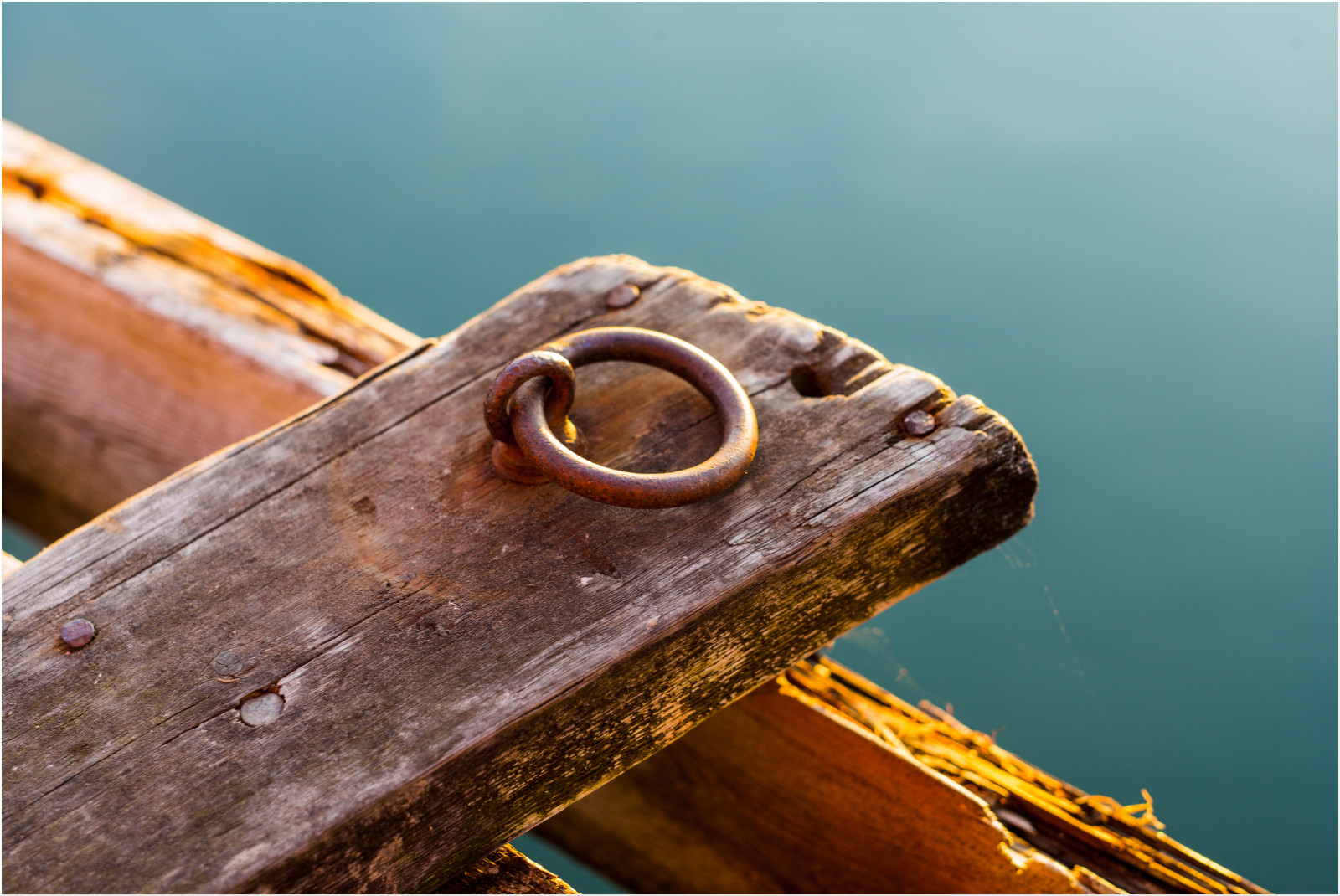 sunset, wood, Sweden, carving, close up, macro photography, mooring, sk rg rden, harstena