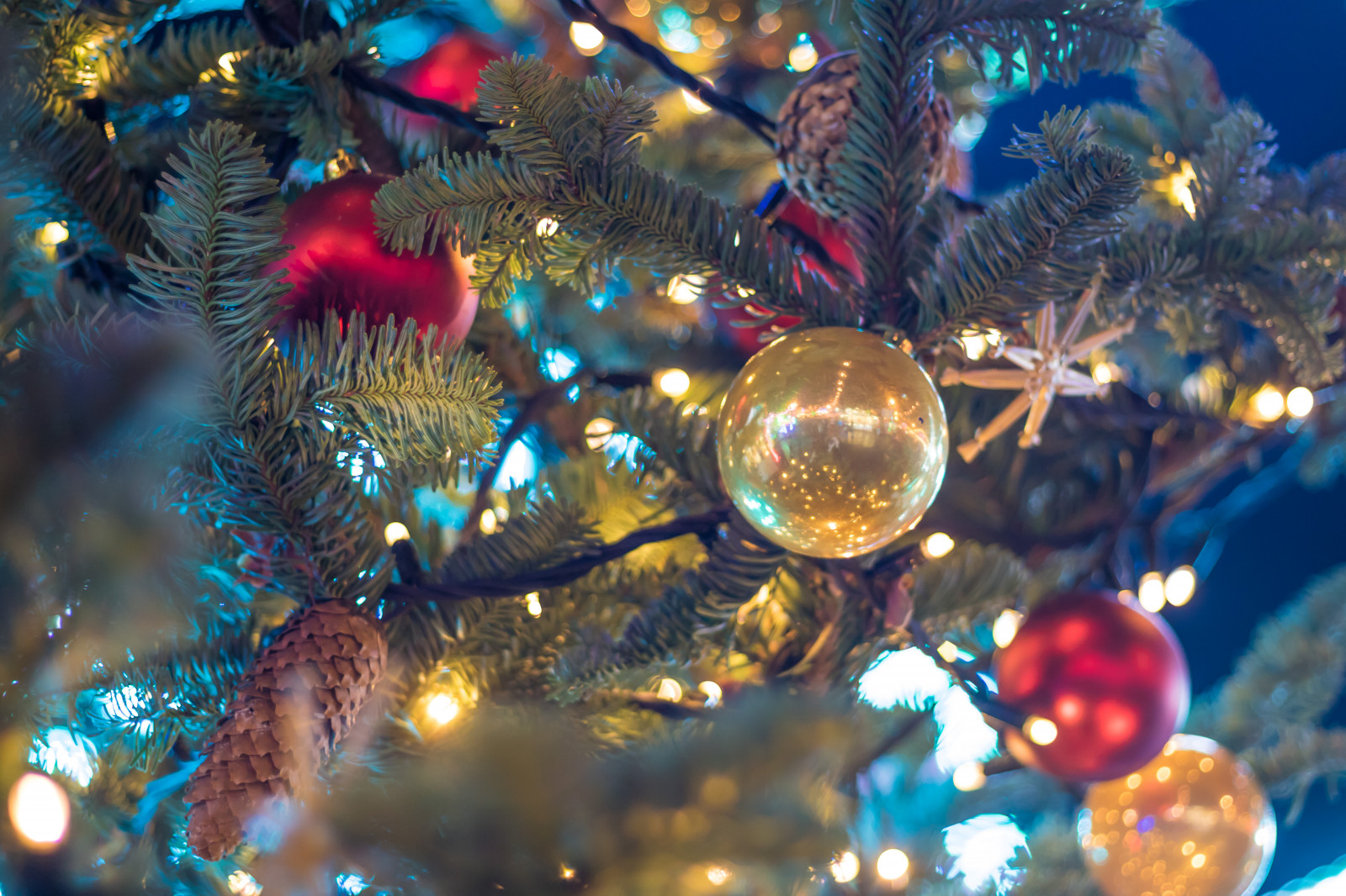 větev, Německo, Vánoční strom, Vánoce, Dovolená, Vánoční osvětlení, událost, strom, Vánoce, vánoční strom, julgran, ozdoby, vánoční trh, července, Německo, deutschland, Rostock, julmarknad, exif modelu canoneos760d, geocountry, Kamera aby kánon, geocity, Model fotoaparátu canoneos760d, geostate, geolocation, exif aby kánon, exif focallength 50mm, EXIF ef50mmf18stm čočka, EXIF otvor 20, EXIF isospeed 500, weinachtsmarkt, vánoční dekorace