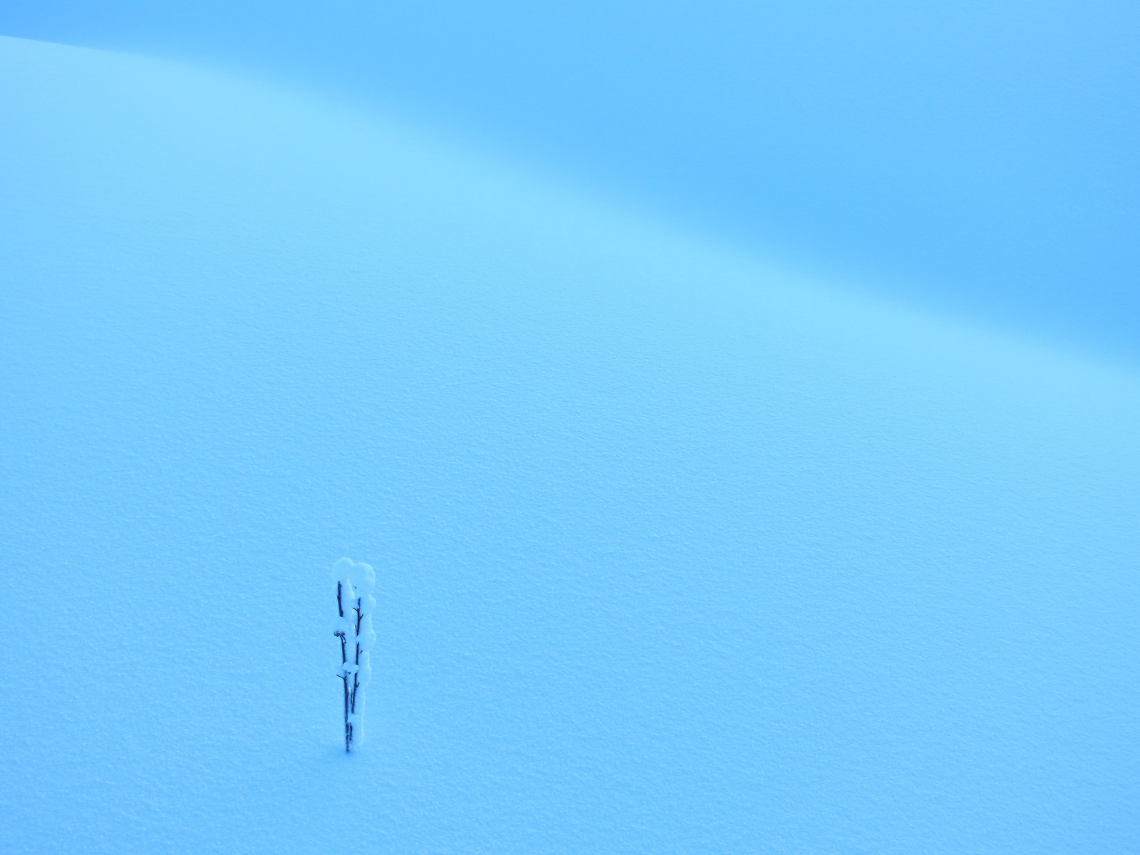 Příroda, nebe, sníh, větev, uklidnit, modrý, Studený, Kánon, vítr, horizont, atmosféra, Kanada, tyrkysová, Quebec, neige, mrak, venkovní, mimo, větve, čára, hiver, bleu, během dne, froid, počítač tapeta, Atmosféra Země, blankyt, lacetchemin, Winter