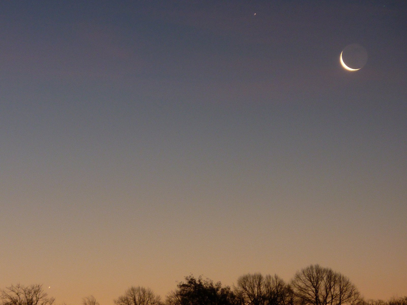 nat, plads, himmel, Måne, aften, morgen, horisont, atmosfære, skumring, Saturn, Kviksølv, Sky, træ, daggry, dagtimerne, computer tapet, atmosfære af jord, himmellegeme, halvmåne, fænomen