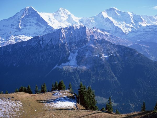 trees, landscape, mountains, snow, valley, mountain pass