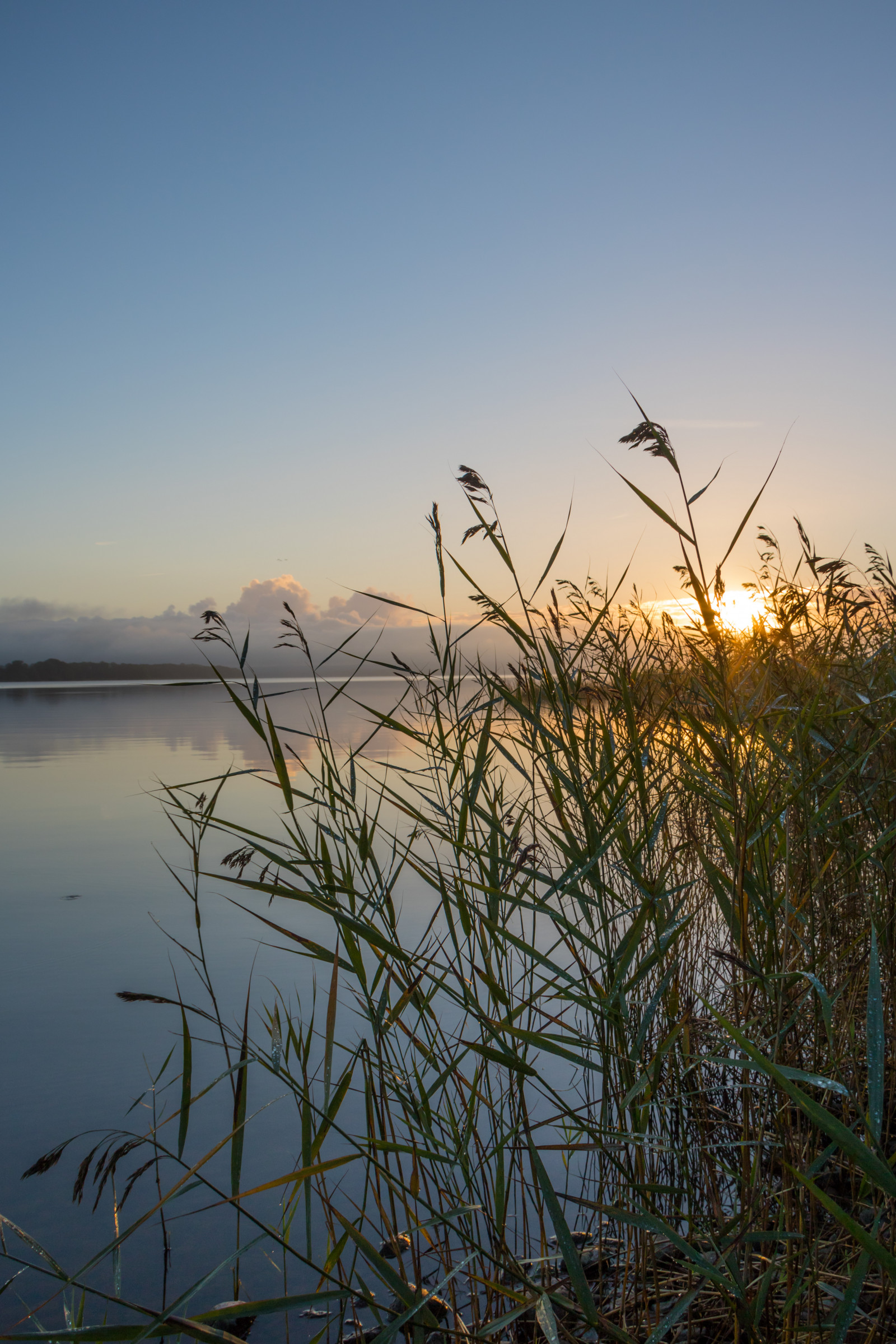 slunečnímu záření, západ slunce, moře, jezero, Příroda, odraz, tráva, nebe, pole, větev, svítání, večer, ráno, vítr, horizont, soumrak, Klid, mokřadní, klid, květ, svítání, h r, sj, soluppg ng, gryning, exif modelu canoneos760d, geocountry, Kamera aby kánon, geocity, Model fotoaparátu canoneos760d, geostate, geolocation, EXIF čočka efs18200mmf3556is, exif aby kánon, EXIF isospeed 100, EXIF otvor 80, exif focallength 18mm, ringsj n, straringsj n, prérie, bažina, místo výskytu, přírodní prostředí, atmosférický jev, tráva rodina