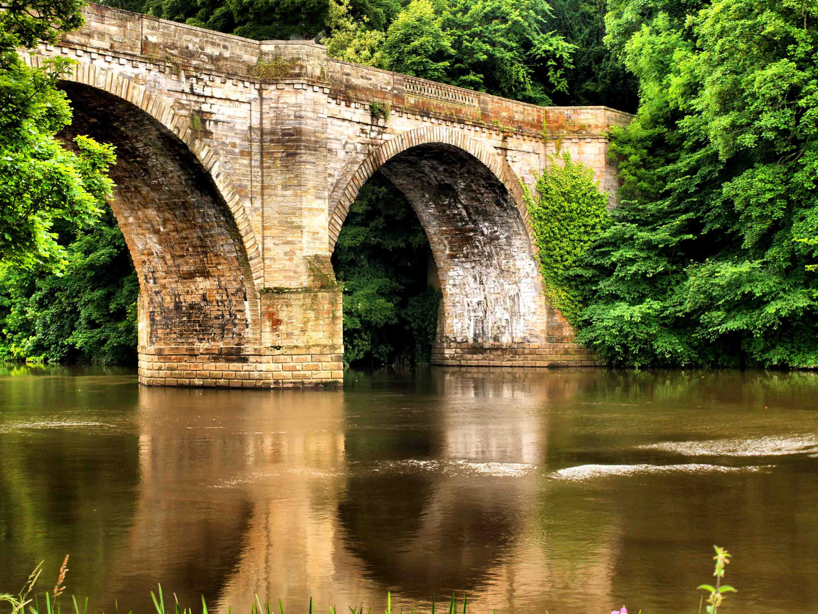 stromy, krajina, voda, Příroda, odraz, tráva, nebe, most, řeka, super hrdina, letní, oblouk, kanál, banka, obloukový most, viadukt, strom, list, rostlina, hra, vodní tok, thechallengefactory, Cy2, challengeyouwinner, akvadukt, palec nahoru, sb, Durham, vodní, mít na sobě, bigmomma, storybookwinner, herowinner, friendlychallenge, A3b, ďáblův most, june2008, pregamesweepwinner, pregameduelwinner, challengefactory, Hřex2, Pouze vítězové, Yourock1stplace, 6973, Motifchallengfewinner, 6973bridge