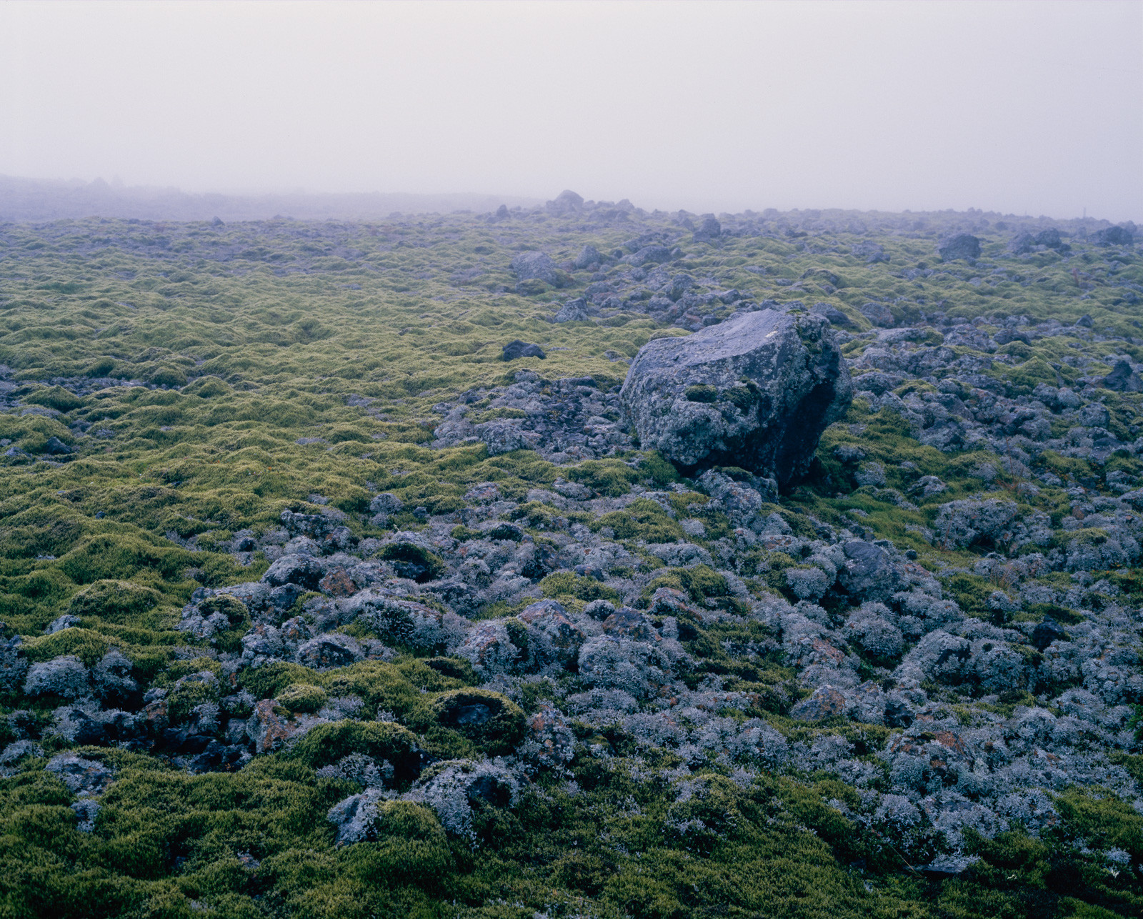 6x7, e100g, E6, F0288, fujifilmgf670, Island, Islandia, Plustekopticfilm120, Tetenal3bathkit, analogový, Exif4film, film, láva, mech, Ektachrome