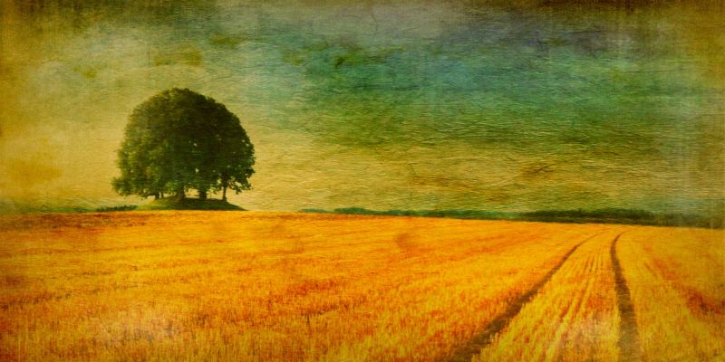 IPhone,Pic,Profi,Fx,Beunruhigt,Laminar