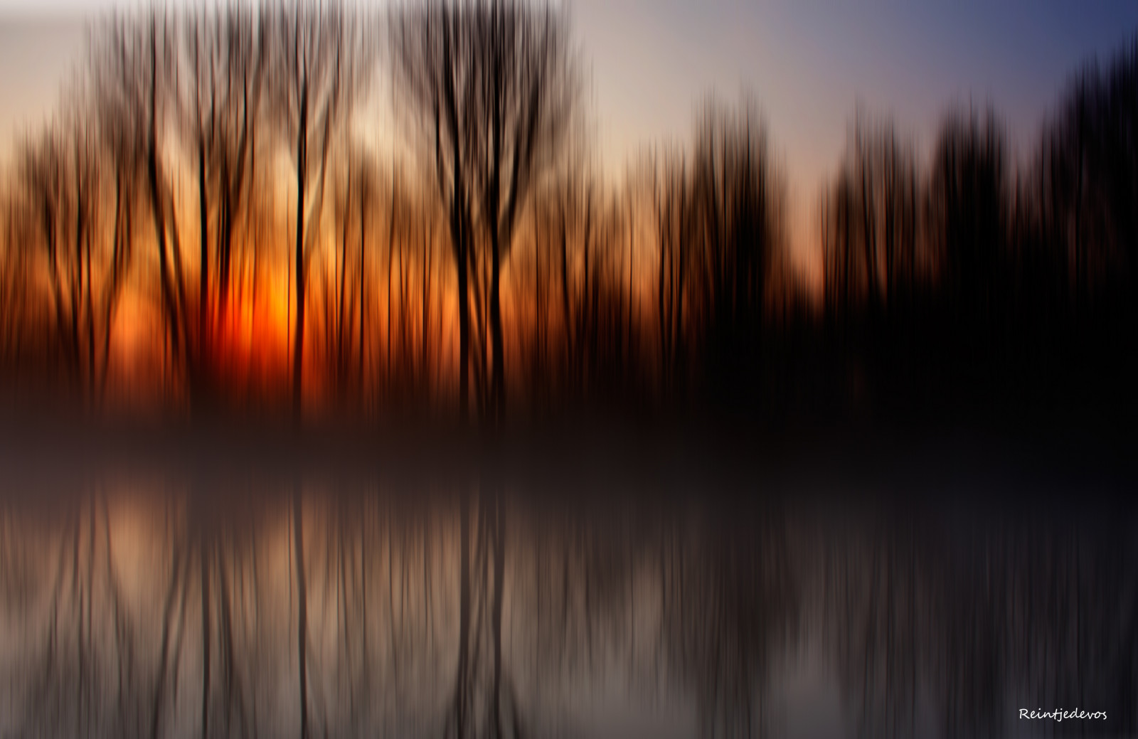 stromy, slunce, Příroda, Nizozemí, svítání, Bomen, natuur, Groningen, polder, Pórek, zonsopgang, tistheseason, Finegold, landscapebeauty, westerkwartier, reintjedevos, mygearandme, mygearandmepremium, mygearandmebronze, mygearandmesilver, mygearandmegold, mygearandmeplatinum, mygearandmediamond, goldstarawardlv1, goldstarawardlv2, goldstarawardlv3, visionaryartgallerylv3, visionaryartgallerylv1, visionaryartgallerylv2, ineedatree, mygearandmediamond145