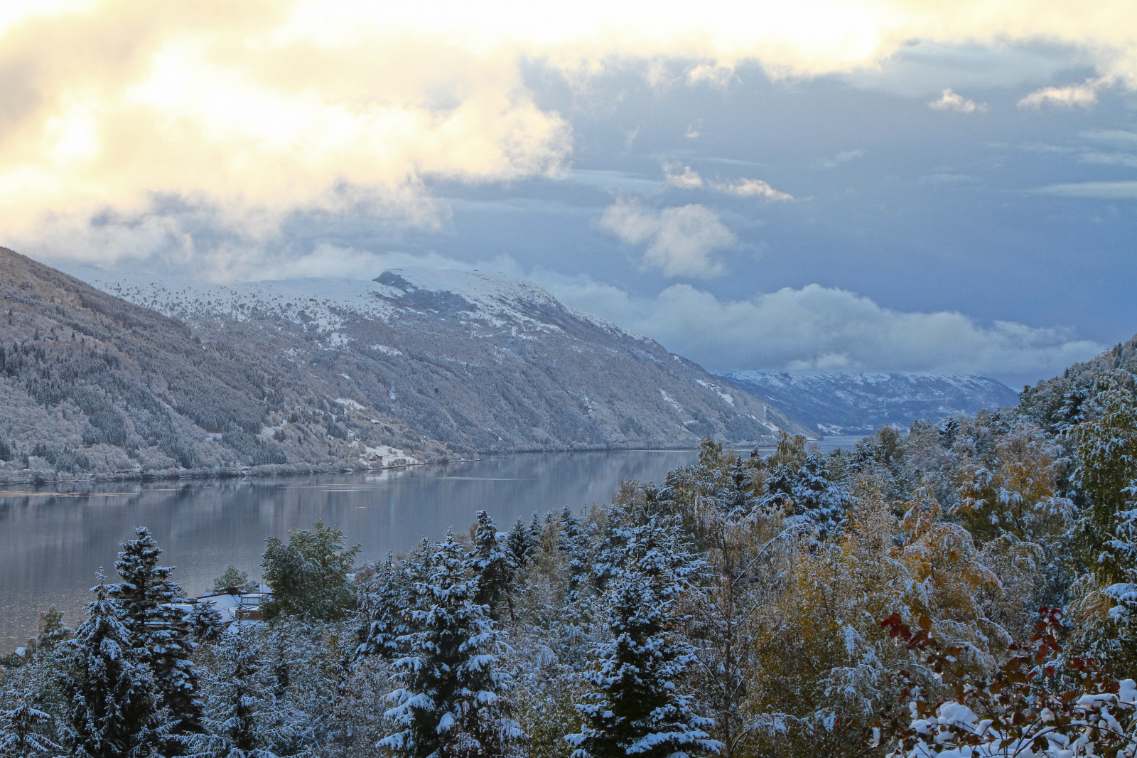 træer, landskab, Skov, bjerge, bakke, sø, natur, sne, vinter, skyer, morgen, dal, ødemark, Alperne, plateau, ryg, Sky, træ, bjerg, vejr, floder, sæson, atmosfærisk fænomen, bjergrige landskabsformer, landskabsform, geografisk funktion, bjergkæde