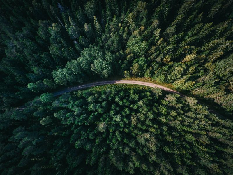 alberi, acqua, natura, paesaggio, foresta, erba alberi, acqua, natura, paesaggio, foresta, erba