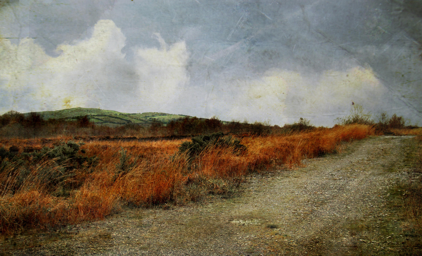 landskab, maleri, bakke, natur, græs, himmel, vinter, Mark, struktur, horisont, sti, steppe, vådområde, lave om, Sky, græsarealer, vild, farve, mig, sammen, græs, eng, almindeligt, selv, rejse, malet, highland, prærie, landdistrikt, økosystem, græs familie, meteorologisk fænomen, savanne, shrubland, mose, impressionistiske, økoregion, bk, skrænt, withbk, bogland, plant community