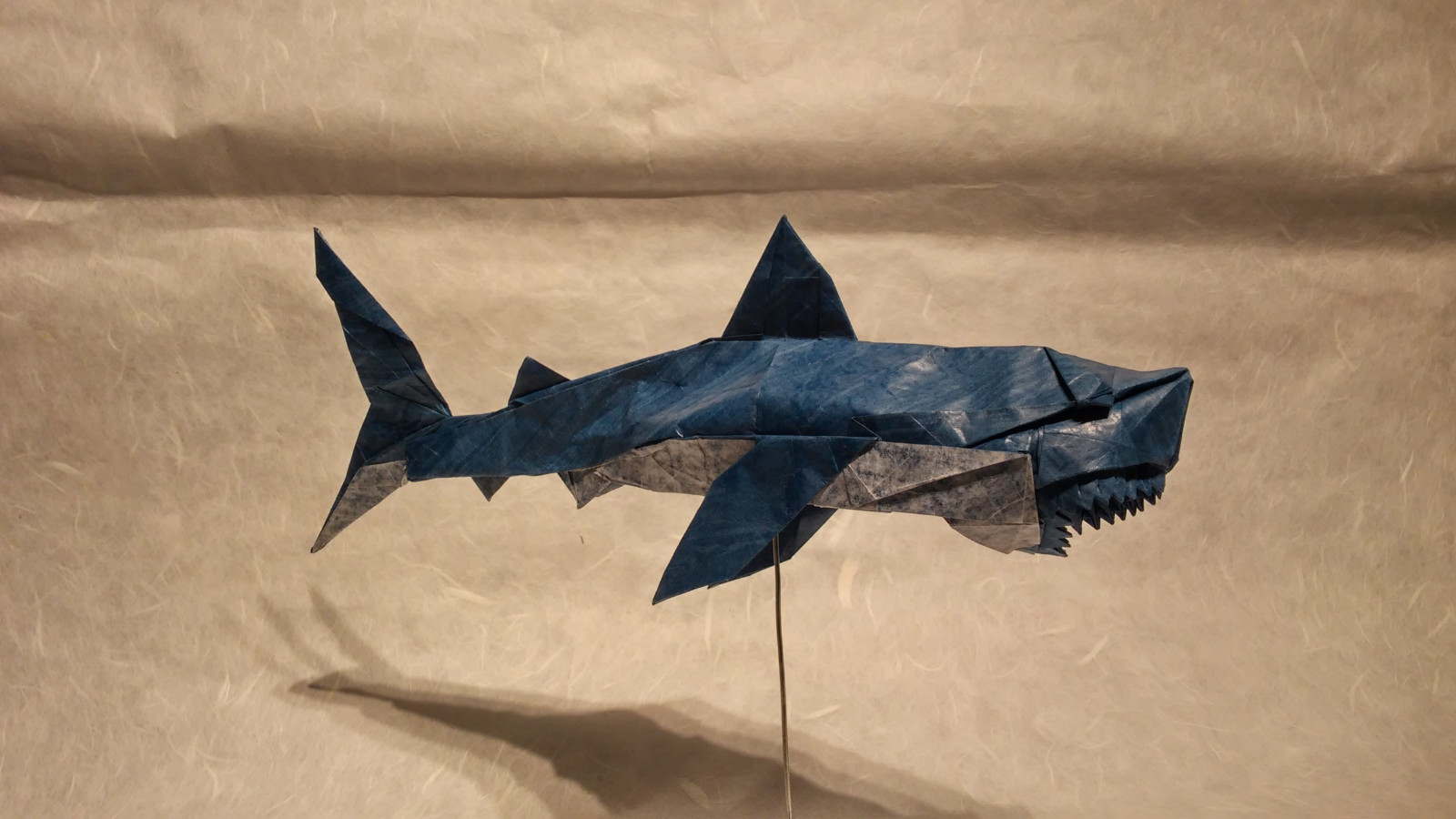 haai, origami, nguyen, witte haai, vog, tomasz, Krawczyk, Nguyenngocvu