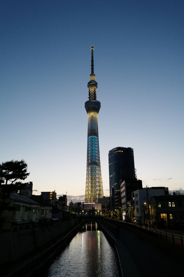 Japan,city,cityscape,night,architecture,reflection