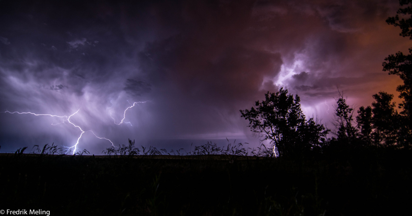 landskab, nat, natur, himmel, skyer, lyn, storm, aften, atmosfære, Nikon, USA, Colorado, torden, juni, midnat, 2014, Sky, træ, tordenvejr, mørke, D7100, computer tapet, meteorologisk fænomen, cumulus, fænomen