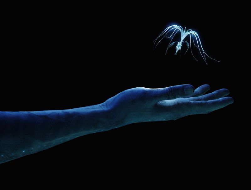 digital art, smoke, movies, blue, light, hand digital art, smoke, movies, blue, light, hand