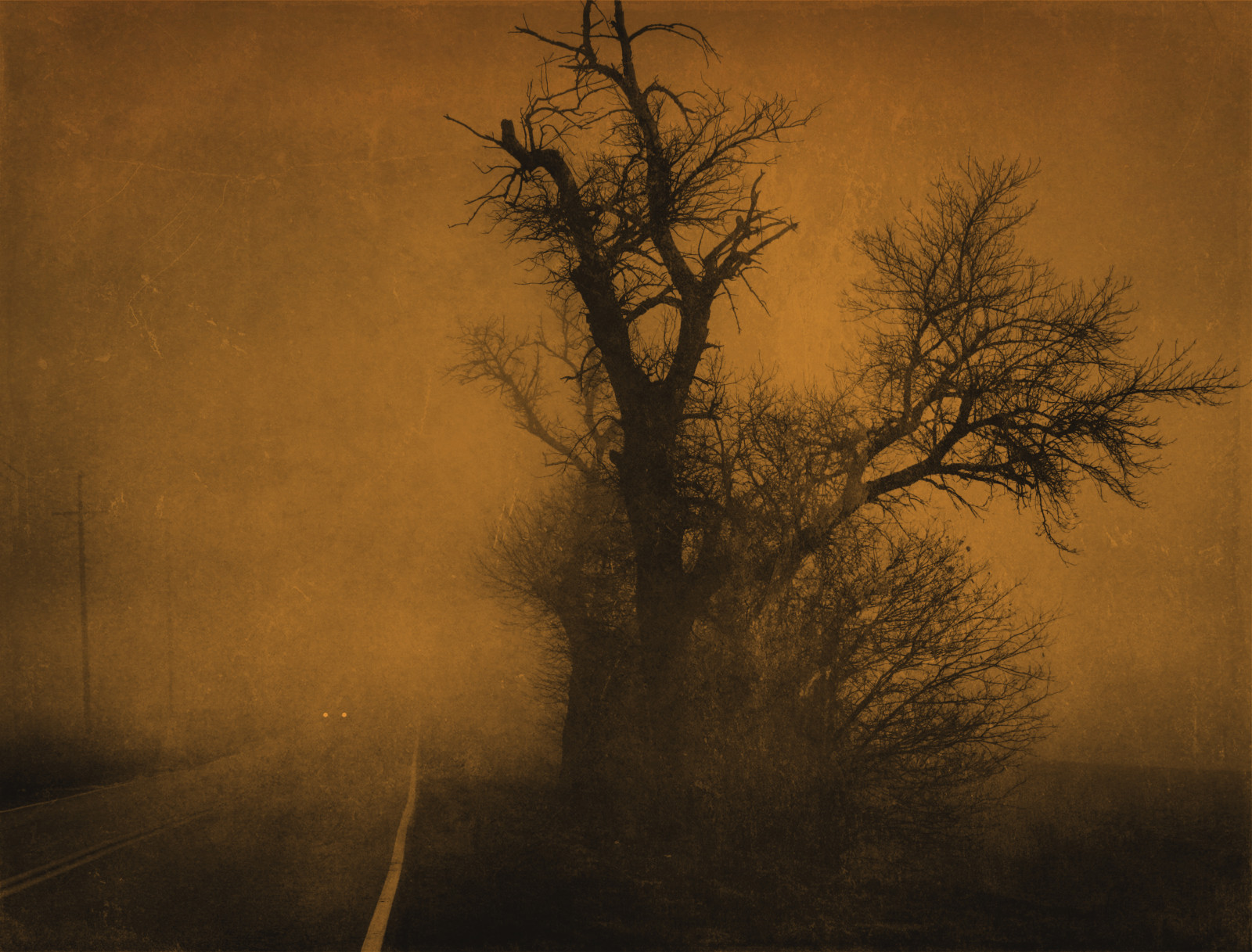 sollys, træer, lys, Skov, Photoshop, natur, bil, silhuet, afdeling, solopgang, aften, morgen, tåge, struktur, atmosfære, ensomhed, kørsel, trøstesløshed, træ, efterår, tåge, vejr, daggry, plante, mørke, auto, texturedlayers, jackaloha2, magicunicornverybest, atmosfærisk fænomen, vedplante, raod, telephonepoles, dæmoner, warpedtwisted