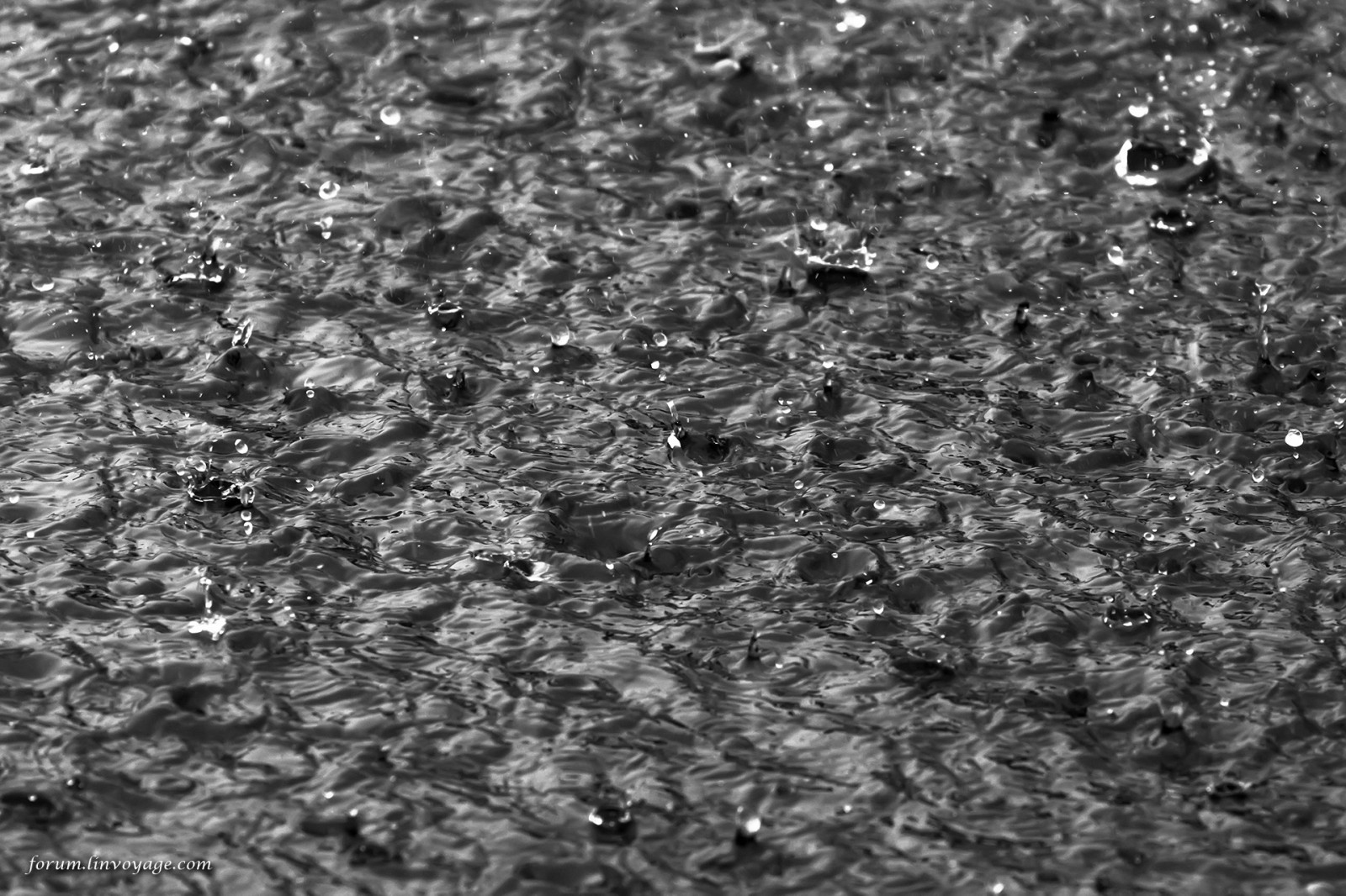 ดำ, เรือ, เรือ, ขาวดำ, ทะเล, น้ำ, หิน, ธรรมชาติ, ฝน, การถ่ายภาพ, รูปแบบ, พื้นผิว, เรือยอชท์, ประเทศไทย, ยางมะตอย, ใบไม้, กลางแจ้ง, หยด, มหาสมุทร, วัสดุ, ออกแบบ, หยด, พัทยา, กระบี่, Samui, ภูเก็ต, phuketian, แล่นเรือ, phuketphotographernet, forumlinvoyagecom, httpforumlinvoyagecom, ดิน, ดำและขาว, ถ่ายภาพขาวดำ, พื้น