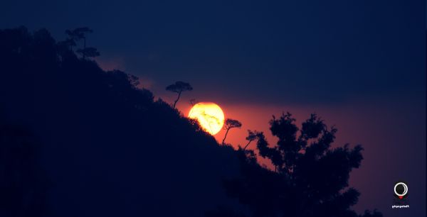 sunset,2662x1360 px,nature,photography,Sun