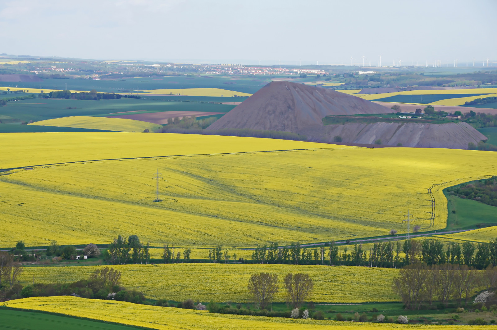 krajina, kopec, tráva, nebe, pole, žlutý, hospodařit, plošina, step, řepkového, strom, Pohled, lučina, výše, rostlina, fotografie, letecký, pastvina, řepka, přistát, iM, luft, zemědělství, louka, fotky, prostý, foto, von, des, fotografie, fotos, aufnahme, z, bild, bilder, vysočina, prérie, oříznutí, Landkreis, venkov, vyrobit, letecké snímkování, ekosystém, tráva rodina, brassica, pozemek pozemek, hořčice závod, hořčice a zelí rodina, sachsenanhalt, ekoregion, aerialview, Landes, pyramide, Luftaufnahme, oben, luftfoto, Luftbild, Mansfeldové dharz, vonoben, aerialphoto, picturesfromabove, photosfromabove, bildervonoben, fotosvonoben, Bergbau, Lutherstadt, Eisleben, Mansfeld, Lutherstadteisleben, Mansfelderland, Mansfelder, S dharz, Polleben, Kupferschieferbergbau