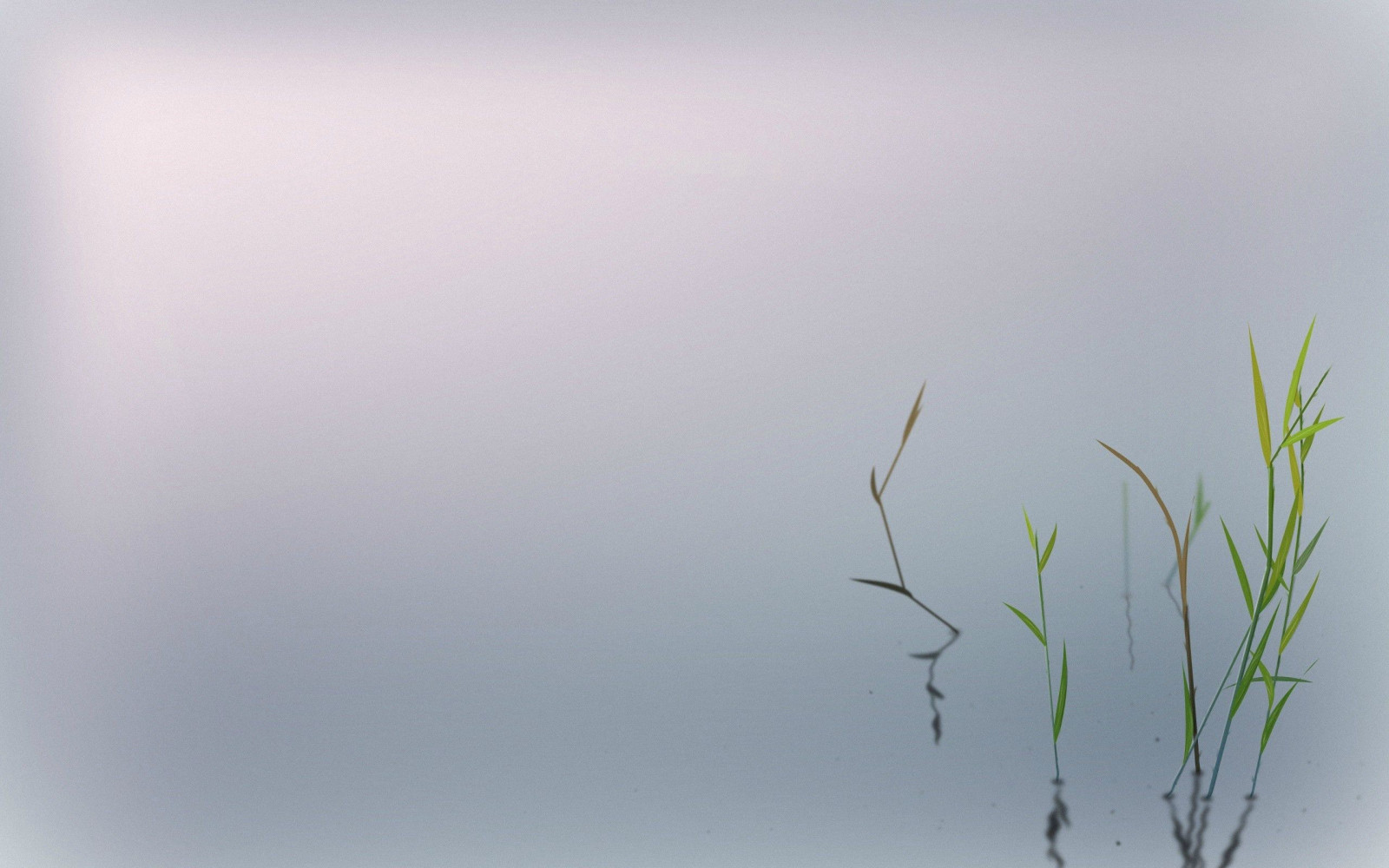 dibujo, agua, Minimalismo, césped, rama, verde, niebla, hoja, flor, línea, Fenómeno atmosférico, Papel pintado de la computadora, Atmósfera de tierra, Familia de la hierba