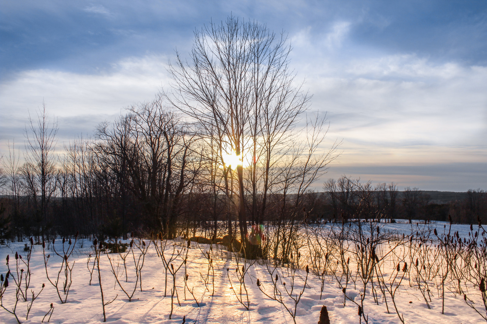 Wallpaper sky, Sun, snow, Ontario, Canada, cold, nature, clouds