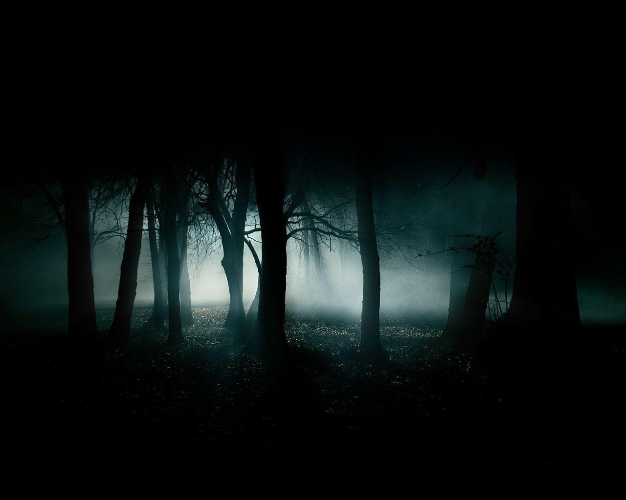 luz de sol, bosque, oscuro, noche, Mañana, niebla, melancólico, luz de la luna, atmósfera, medianoche, ligero, niebla, amanecer, oscuridad, captura de pantalla, Fenómeno atmosférico, Papel pintado de la computadora