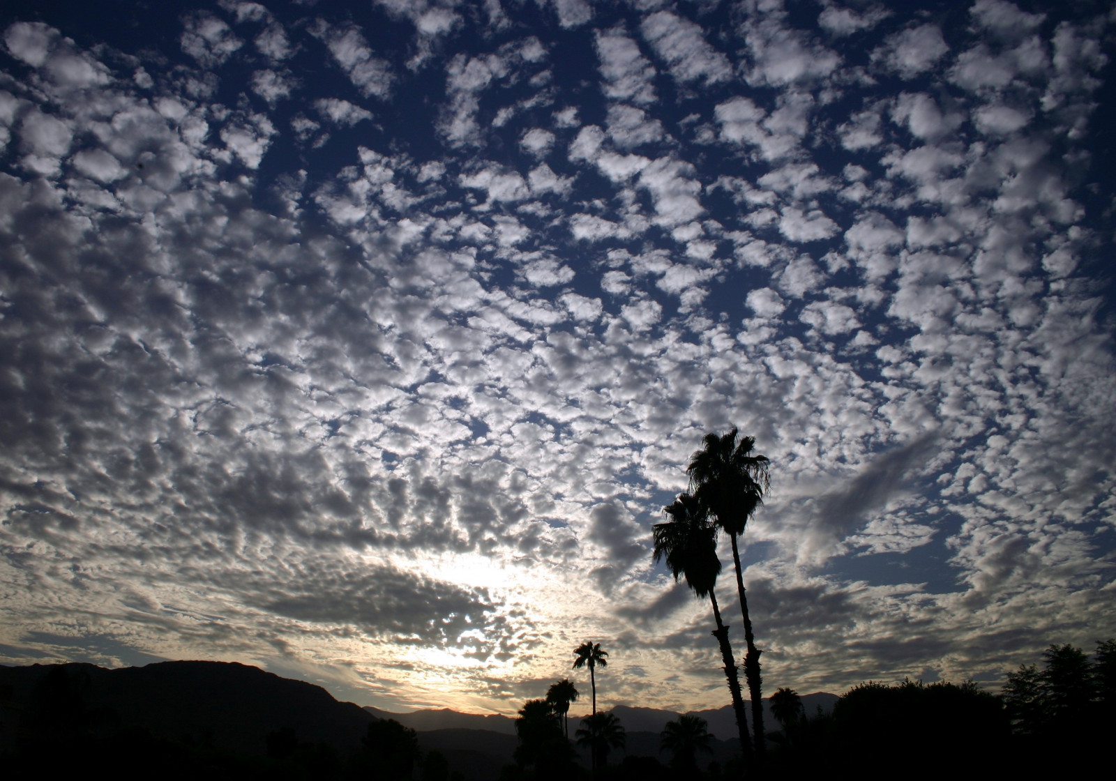 sollys, bjerge, solnedgang, natur, afspejling, himmel, skyer, aften, morgen, Sol, Californien, horisont, atmosfære, skumring, lys, Sky, daggry, saariysqualitypictures, Palmer, mørke, uredigeret, anawesomeshot, Bej, 100commentgroup, platinumheartaward, platinumpeaceaward, superstarthebest, andromeda50, peaceaward, flickrbronzeaward, strålende øje juvel, justclouds, atmosfære af jord, thesuperbmasterpiece, meteorologisk fænomen, cloudslightningstorms, randy, superstar, palmdesert, Kroeker, americaamerica, flickrgoldaward, flickrsilveraward, yourarthastouchedtheworld, kaleidoscopevision, dragonflyawardsgroup, yahttw, universaleliteaward, beautifulgroup, youandtheworld, randykroeker, randykroeker1959yahoocom, randykroeker1959xxxx, nullerzgallery, favtop35award