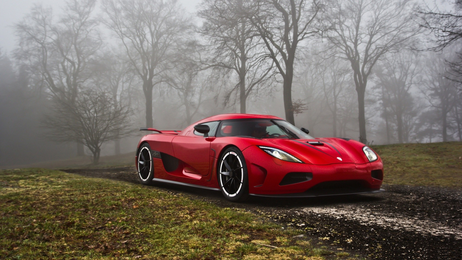 auto, vozidlo, sportovní auto, Koenigsegg Agera R, Koenigsegg, výkon auta, superauto, pozemní vozidla, automobilového designu, závodní auto, automobil make, luxusní vůz