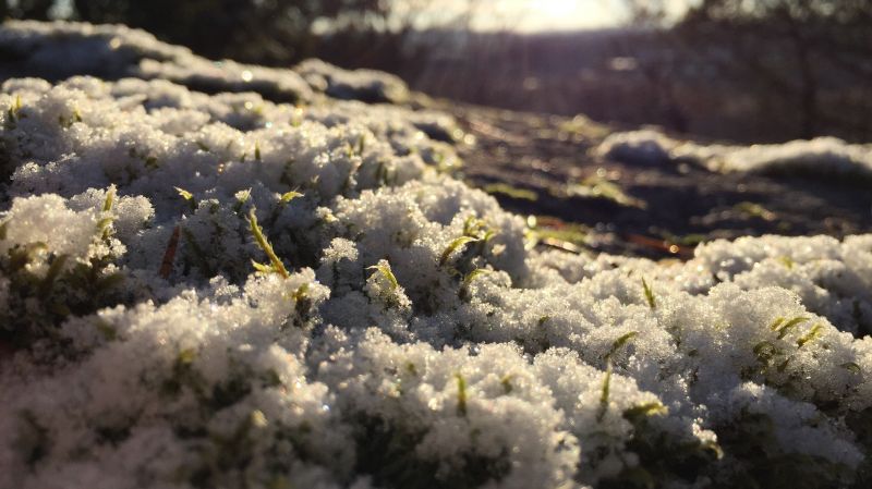 3264x1833 px, Příroda, sníh