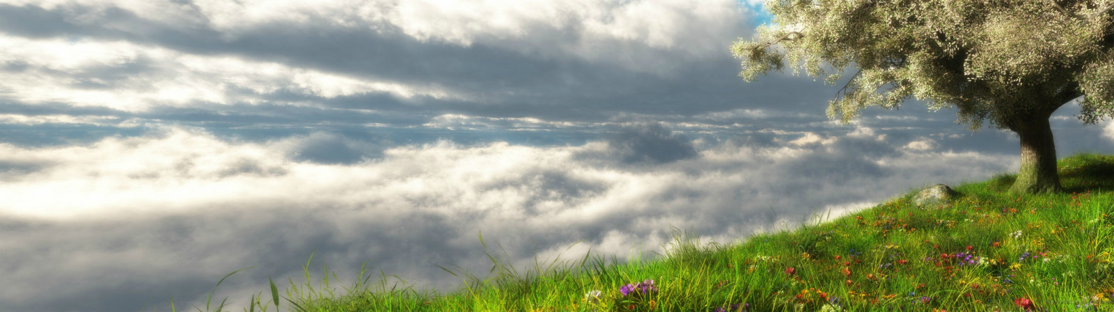 slunečnímu záření, krajina, les, kopec, Příroda, tráva, nebe, pole, mraky, zelená, ráno, vítr, horizont, fantazie, multiple display, mrak, strom, podzim, hora, květ, lučina, rostlina, louka, prostý, prérie, venkov, místo výskytu, přírodní prostředí, atmosférický jev, dřevina, ekosystém, tráva rodina, meteorologický jev
