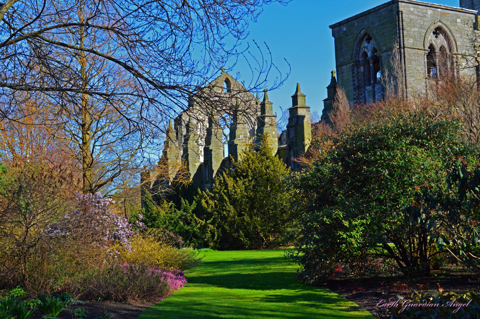 giardino, architettura, Scozia, Nikon, Edimburgo, chateau, Abbazia, tenuta, albero, autunno, fiore, nikond3200, Scozia, Escocia, Scozia, briancarr, earthguardianangel, Holyrood, Szkocja, Holyrood Palace, holyroodabbey, Holyrood Park, Skottland, scotlanduk, edinburghscotland, Abbeyhill, holyroodpalaceedinburgh, holyroodabbeyedinburgh, holyroodpalacescotland