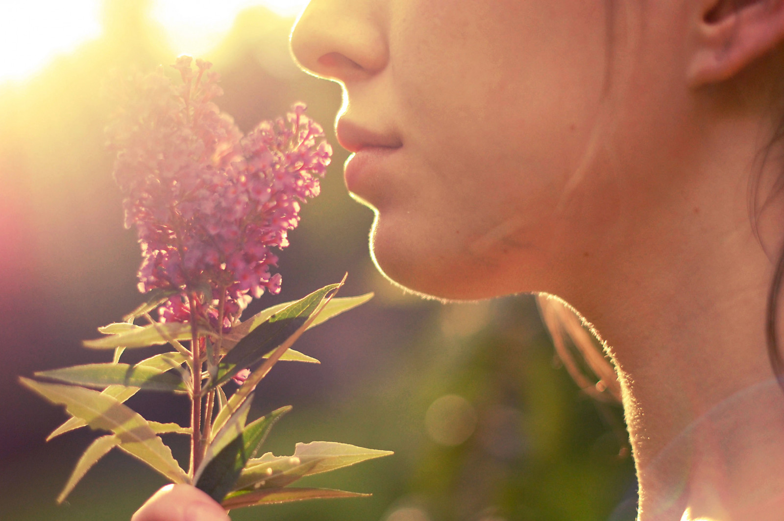 viso, luce del sole, fiori, cielo, viola, Sole, labbra, capelli, Nikon, naso, bokeh, primavera, Messa a fuoco, leggero, fiore, pianta, ragazza, Sorriso, luce del sole, petalo, labbro, nikond40, sfondo del computer, avvicinamento, fotografia macro, noellebuskephotography, girlsface, girllips, noellebuske, olfaction