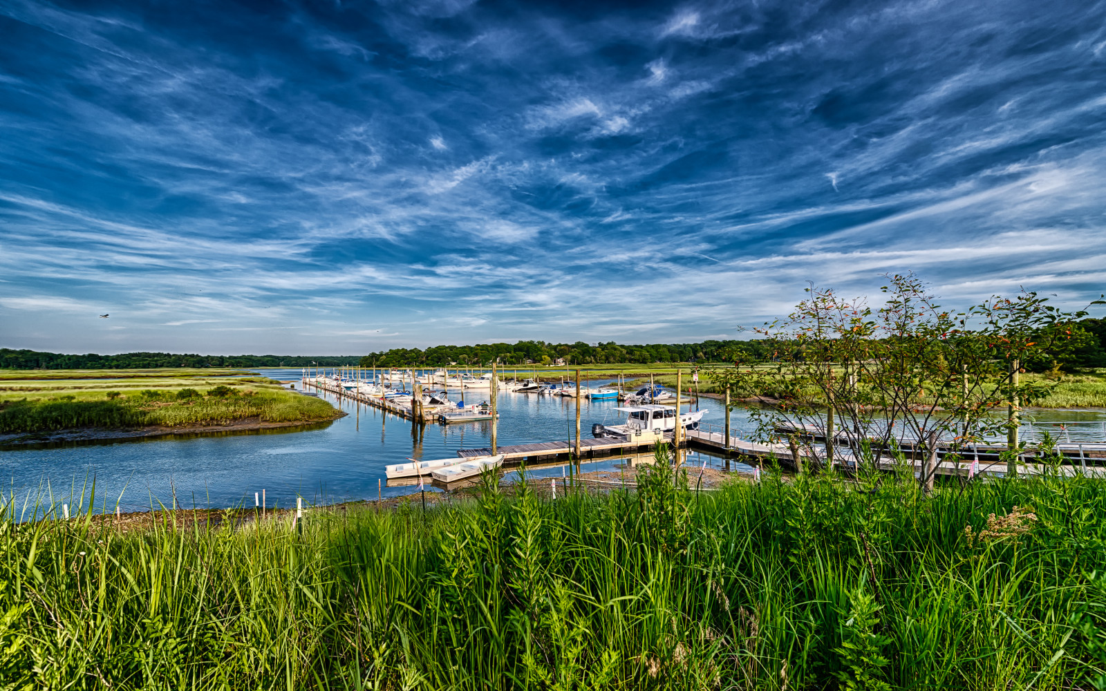 stromy, krajina, moře, jezero, voda, Příroda, pobřeží, odraz, tráva, nebe, fotografování, mraky, ráno, pobřeží, řeka, HDR, přístav, horizont, Nikon, dok, mokřadní, UMĚNÍ, mrak, strom, newyork, lodě, přímořská krajina, ny, louka, nádrž, D800E, photographersontumblr, nikond800e, 1424, li, bažina, jezero, dlouhý ostrov, vrásčitý, originalphotography, retinaresolution, artistsontumblr, lensblr, nikon1424f28, venkov, místo výskytu, přírodní prostředí, geografický rys, kingspark, nissequogueriverstatepark