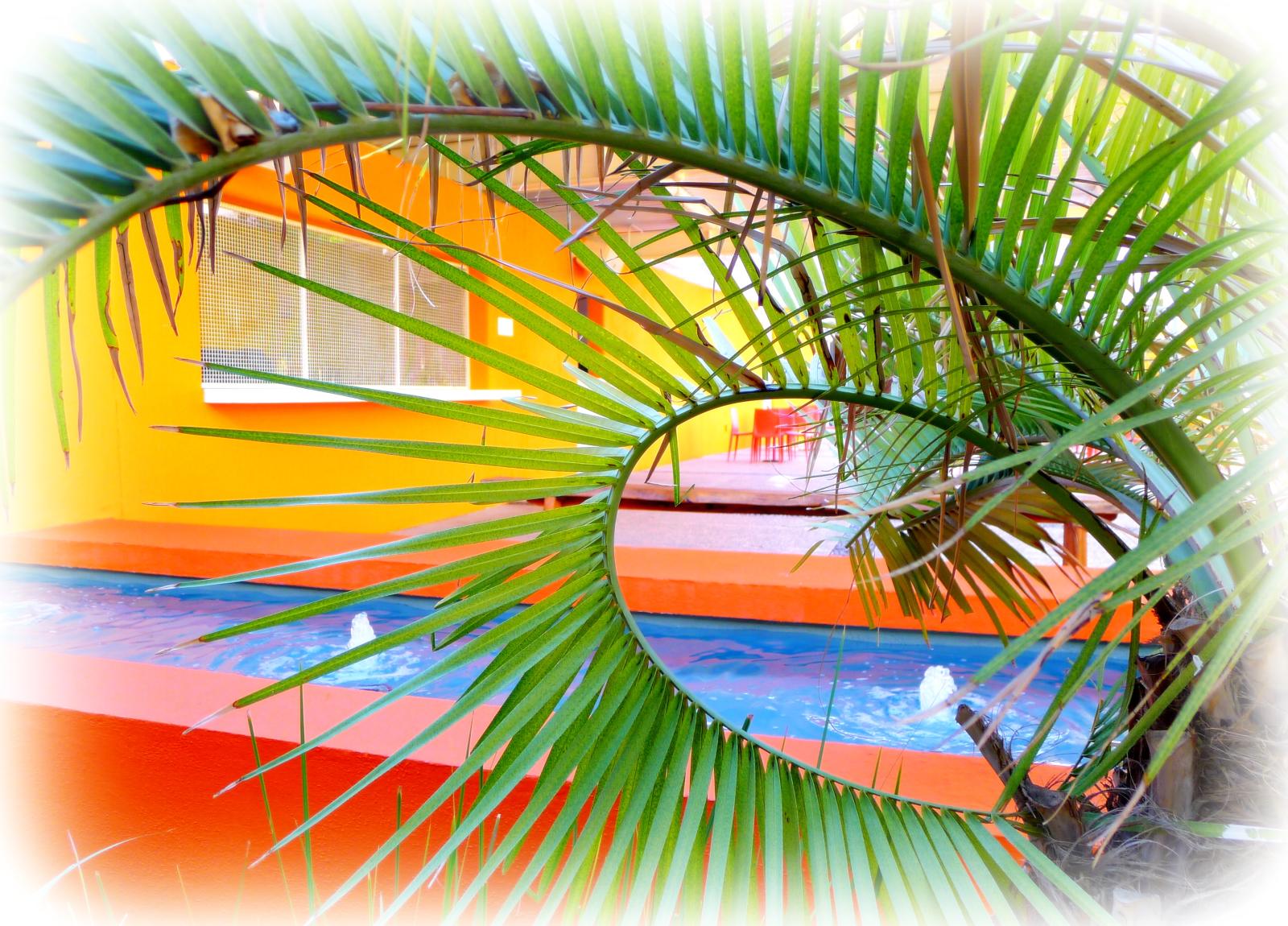 letovisko, hotel, Saguarohotel, Scottsdale, Arizona, jihozápadní, tučně, jasný, vibrující, živý, vícebarevný, venkovní, Odtud, rr, dovolená, pohostinství, deštník, žlutý, voda, Příroda, velký tropický list, dlaň, zelená, oranžový, křivka, čáry, geometrie, modrý, photoborder, útěk, S vybavením, městský, cmwd, cmwdorange