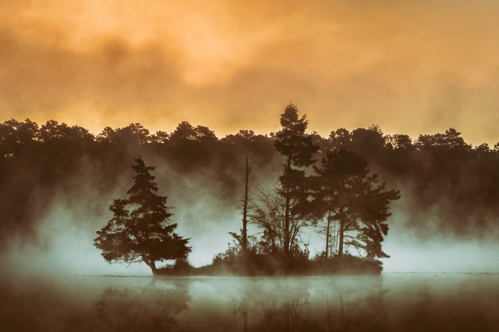 luce del sole, paesaggio, foresta, tramonto, natura, riflessione, cielo, campo, Alba, sera, mattina, nebbia, fuoco, atmosfera, stagno, crepuscolo, nebbioso, foschia, Fujifilm, nube, albero, autunno, nebbia, vibrante, tempo metereologico, alba, boschi, fuji, xt1, fenomeno atmosferico, pianta legnosa