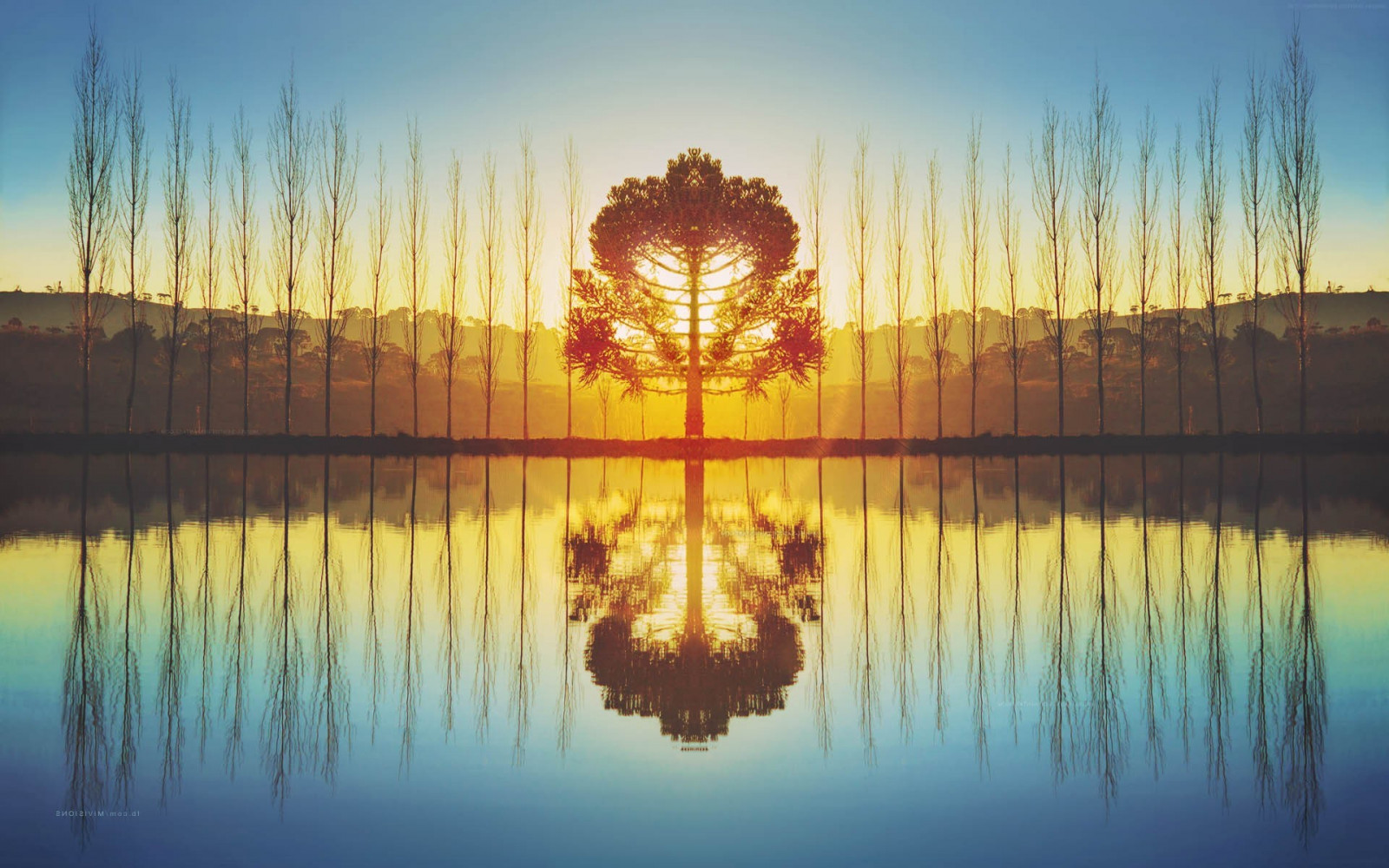 Fondos de pantalla : 1920x1200 px, naturaleza, reflexión, luz de sol ...