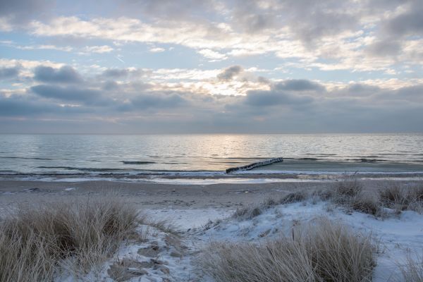 winter,geolocation,cold,vinter,frost,Rime