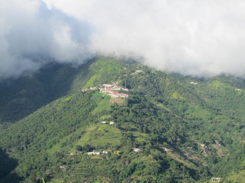 forest, hill, clouds, Alps, rainforest, plateau forest, hill, clouds, Alps, rainforest, plateau