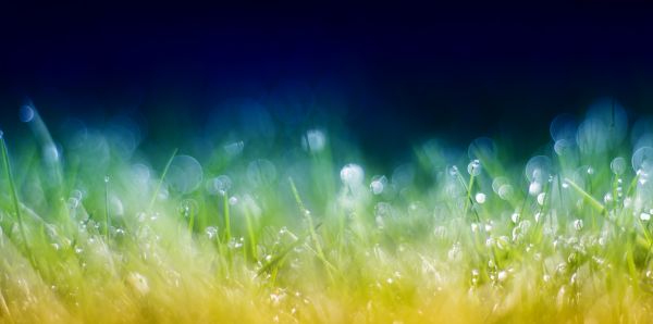 water,grass,sky,green,field,filter
