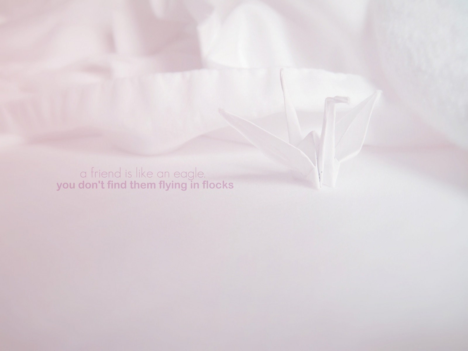 bílý, citát, postel, text, jednoduchý, Sony, papír, růžový, světlo, choulostivý, měkký, jeřáb, okvětní lístek, deka, 365, project365, slova, povlečení na postel, font, produkt, rčení, textography, papercrane, sonydsct90